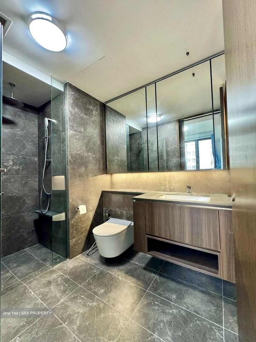 Kopar At Newton (D9), Apartment #453374961